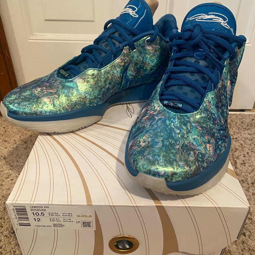 Nike Lebron James XXI Air Zoom basketball shoe